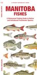 Manitoba Fishes: A Folding Guide to Native and Introduced Freshwater Species