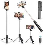 Blushinsta Portable Selfie Stick, 70 cm Handheld Tripod with Detachable Wireless Remote and Mini Tripod Stand Selfie Stick for iPhone, Android Google Smartphone (Black)