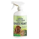 PetraTools Green Grass Paint for Lawn, Ready-to-Use Green Grass Lawn Spray & Dog Spot Repair, Lawn Paint, Spray on Grass, Green Lawn Spray, Green Grass Spray Paint for Lawn Yellow & Urine (32Oz)
