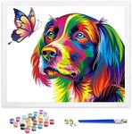 ifymei Paint by Numbers for Adults, Children, Beginners, DIY Gift Arts Kits with Brushes and Acrylic Pigment, 16x20 Inch Colorful Dog [Without Frame]