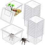 20 Pcs Insect Spider Terrariums Breeding Box Small Reptile Hatching Container Transparent Cricket Keeper Breeder Box Feeding Spider Cage with Lid for Scorpion Gecko Tortoise Centipede Tarantula