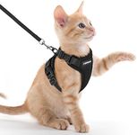 rabbitgoo Cat Harness and Leash for