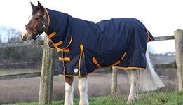 100G HORSE TURNOUT RUG LEIGHT WEIGHT HORSE RUG HORSE TURNOUT RUG 600D WATERPROOF HORSE BLANKET (7'0'')