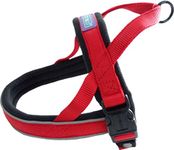 DOG & CO Norwegian Performance Harness, Small, Red