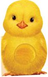 Furry Chick (Touch and Feel Mini Friends)