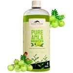 Rasayanam Pure Amla Juice - 750 ML | Healthy Hair & Skin | Immunity Booster | Vitamin C | Natural & 100% Pure | Made with Cold Pressed Francis Amla