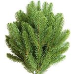 Elyjhyy 30pcs Artificial Pine Picks Branches Green Plants Pine Accessories for Garland Needles Wreath Christmas and Home Garden Decor DIY