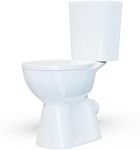 Simple Project 19inch Tall Toilet |