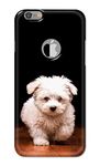 PRINTFIDAA Real Fluffy Dog Puppy Mans Bestfriend Printed Designer Hard Case for Apple iPhone 6 Logo (4.7") / iPhone 6S Logo (4.7") Back Cover -(1H) RAJ1003