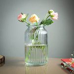 Golden bird 7 inches Glass Flower Vases, Bulk Plant Vases,1 Pack Modern Flower Vases for Home Décor, Modern Decorative Vase for Centerpiece, Living Room, Office, Wedding or Gifts (Big)