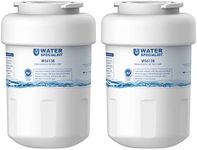 Waterspecialist WS613B Replacement 