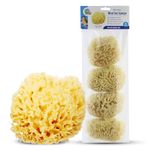 Baby Buddy Natural Wool Sea Sponge, Newborn Bath Time Essential, Ultra Soft for Delicate Skin, Hypoallergenic and Biodegradable, 4 Pack