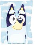 Bluey 3D Snuggle Pillow - Super Soft Blue Plush Pillow - Measures 15 Inches