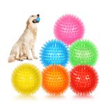 petizer 6 Pack 2.5” Squeaky Dog Toy Balls, Floating Dog Pool Balls, Spiky Dog Balls, Durable Interactive Fetch Toys for Puppy, Dog Chew Toys for Teething (2.5", Small Dog)