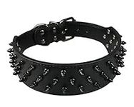 Dogs Kingdom Leather Black Spiked S