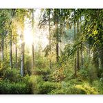 murando Photo Wallpaper 350x256 cm Non-Woven Premium Art Print Fleece Wall Mural Decoration Poster Picture Design Modern Landscape Nature Forest c-C-0032-a-b