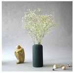 SPHINX Ribbed Pipe Ceramic Vase, Flower Vase, Pampas Grass Vase, Vase for Money Plant Live Plants, Vase Home Decor Centrepiece Decor for Home, Office, or Gifts VASE ONLY NO Flowers- (Green, 6 Inch)