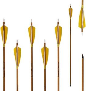 Letszhu Archery Carbon Arrows 500 Spine with Helical Real Feathers and Removable Tips for Compound Recurve Bow (6 Pack)