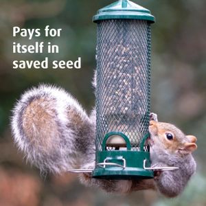 Jacobi Jayne Squirrel Buster Mini Bird Feeder – Squirrel-Proof