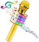 BlueFire 4 in 1 Handheld Karaoke Mi