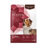 Holistic Select Natural Grain Free Dry Dog Food, Salmon, Anchovy & Sardines, 13-Pound Bag