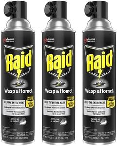 Raid Wasp and Hornet Killer, 17.5 OZ (Pack of 3)