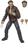 Hasbro E9283 Marvel Legends Series- X-Men 6" Wolverine- Collectible Mutant Action Figure With 3 Accessories- Kids Toys & Collectible Figures- Ages 14+