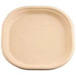 Vissage Made of sugarcane waste Biodegradable Ecofriendly 9IN Square Disposable Plate - Pack of 25, Brown