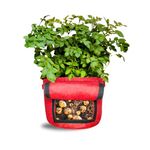 ORGANIC BAZAR 15"X12" Potato Grow Bag With Harvest Window For Home Gardening | Suitable For Root Vegetables, & Other Plants | Premium 450 Gsm Geo Fabric Plant Bags (Pack Of 1), Red