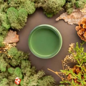Dixie Belle Paint Company Chalk Finish Furniture Paint - English Ivy (1 Gallon - 128oz) - Matte Muted Green Chic Chalk Mineral DIY Furniture Paint