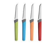 Knife | Fruit Knife for Designing | Garnishing Knives | 4 pcs 4 Colors (Blur, Orange, Green, red) | Candy Colored Fruit Knife | Knife for Garnish | Garnish Knife Set