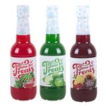 Time for Treats Tropical Punch, Watermelon and Lime Snow Cone Syrup 3-Pack by VICTORIO VKP1107