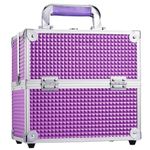 Frenessa Makeup Box Cosmetics Case Jewelry Organiser Vanity Make Up Storage Box Beauty Train Case Lockable with Keys (Purple)