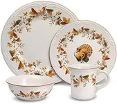 Pfaltzgraff Autumn Berry 16 Piece Dinnerware Set, Service for 4, Multi Colored