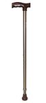 Tynor Walking Stick L Type, Golden, Universal Size, 1 Unit