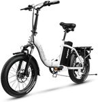 bluebiko 1000W Folding Electric Bik