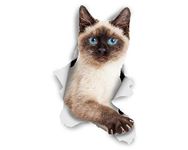 Winston & Bear 3D Cat Stickers - 2 Pack - Breakout Siamese Cat Decals for Wall - Stickers for Bedroom - Fridge - Toilet - Room - Retail Packaged Blue-Eyed Siamese Cat Stickers