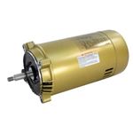 Hayward SPX1607Z1M Motor Replacement for Select Hayward Pump, 1-HP