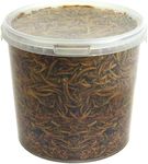 GardenersDream Dried Mealworms | Premium Garden Wild Bird Food Mix Balanced Formula | Protein-Rich, Great Source of Energy | Contains Beneficial Mixed Vitamins | Large Variety (10L Tub)