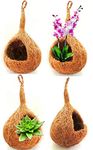 ZENRISE® Sphere Coco Fiber and Shell Hanging Planter for Orchids air Succulent Plants Indoor - Pack of 4