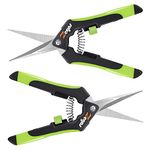 Zegos Titanium-Coated Pruning Snips 2 Pack Trimming Scissors with Curved Blades for Garden Pruning Shears,Bud Leaves, Flowers, Herbs, Bonsai (Curved Blades)