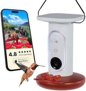 Bird Buddy