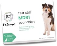 Felome MDR1 DNA Test for Dogs – Drug Sensitivity Test for Your Dog – Results in 2 Weeks – Puppies and Dogs Health Test