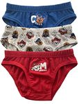 Paw Patrol Boys Pants Briefs Underwear – Pack of 3 (4-5 Years) Multicolour