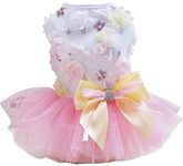 Rdc Pet Dog Dress Puppy Skirt Dog Princess Dresses Tutu Flower and Sequin Dot Wedding Lace Dress Luxury Bow Dress for Small Dog Girl (L, Pink)