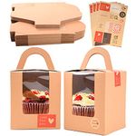 KEYIDO 50pcs Individual Cupcake Boxes Brown Kraft Single Cupcake Box 1 Hole Cake Box with Clear Window Handle and 4 Sheets Stickers for Wedding Birthday Party Favors