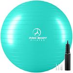 ProBody Pilates Ball Exercise Ball Yoga Ball, Multiple Sizes Stability Ball Chair, Gym Grade Birthing Ball for Pregnancy, Fitness, Balance, and Physical Therapy (Aqua (No Pump), 65 cm)