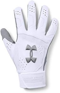 Under Armour Men's Epic 18 Glovess, White (100)/Steel, Small