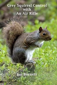Grey Squir