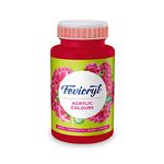 PIDILITE Fevicryl Acrylic Colour, Coral Red acrylic paint, 500 ml, Art and Craft Paint, DIY Paint, Rich Pigment, Non-Craking Paint for Canvas, Wood, Leather, Earthenware, Metal